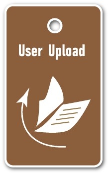 Link to Upload Files